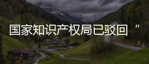 驳回标国家心产权知识3万局已机商件申请