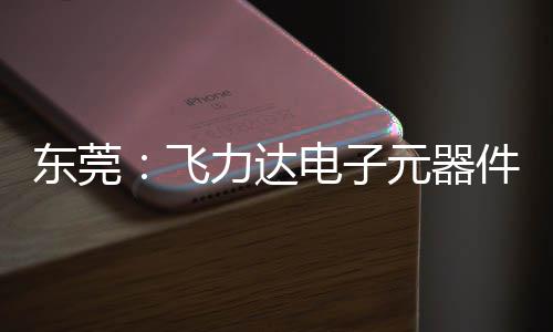 力达纽在投用东莞电子区供元器应链务湾飞，服慧枢件智沙田