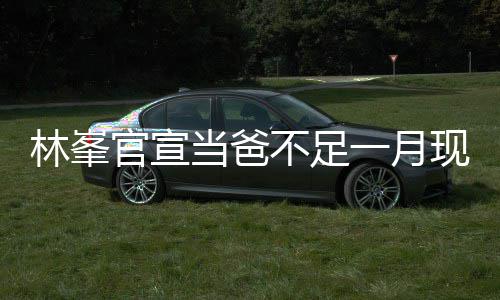 不足 满林峯脸胡官宣现身当爸一月苍老渣显酒吧